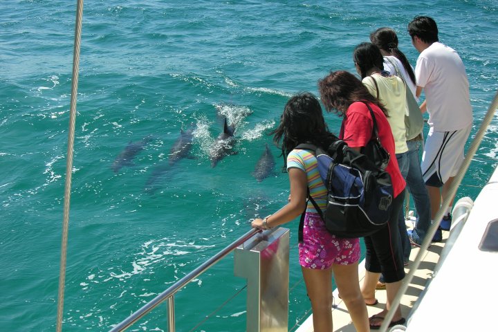 a group of people that are standing in the water