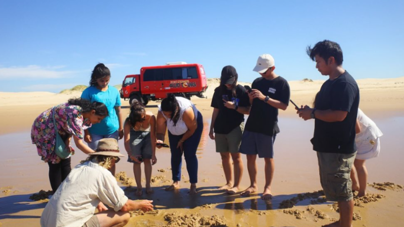 Group of people examining sand with a red tour bus in the background on a sunny beach.
